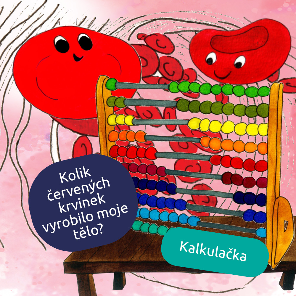 Kalkulačka počtu červených krvinek
