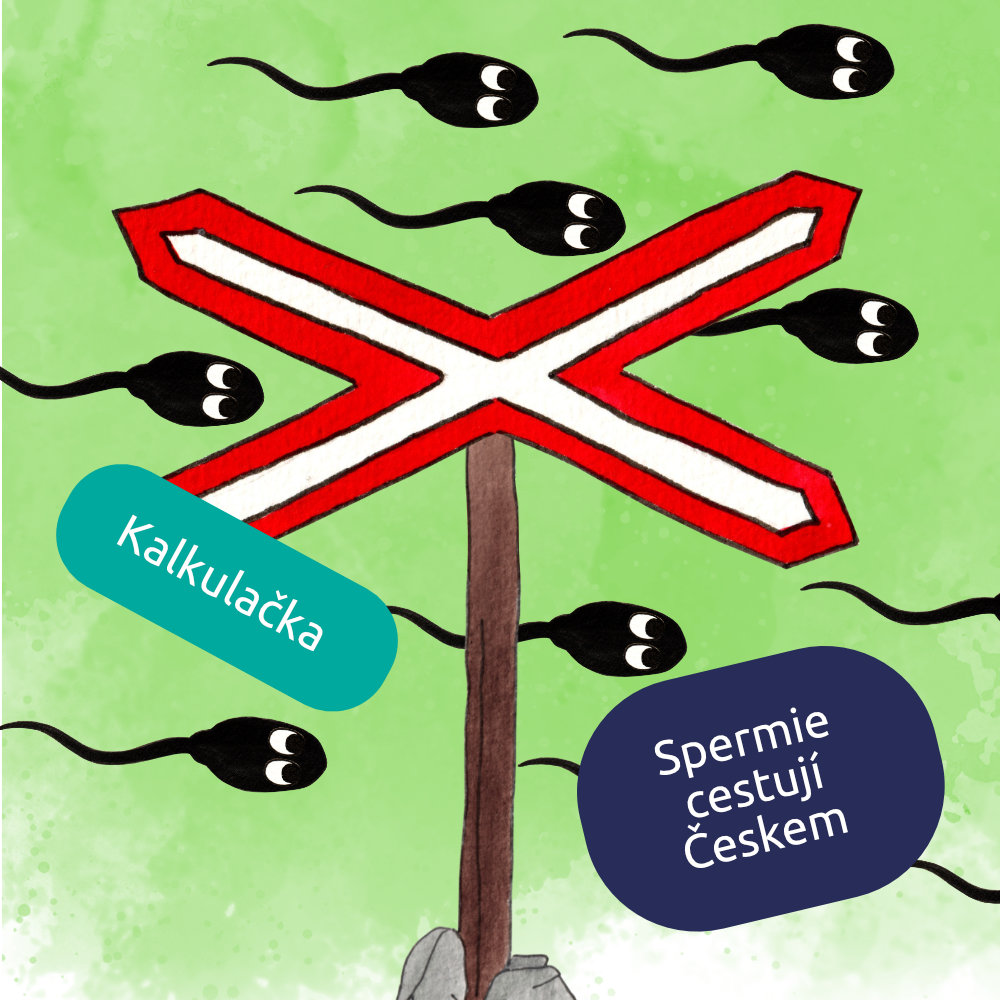 Kalkulačka: Spermie cestují po ČR