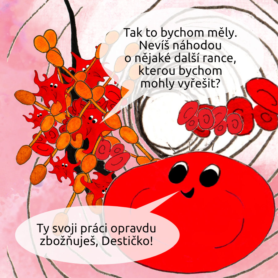 Destička: Tak to bychom měly. Nevíš náhodou o nějaké další rance, kterou bychom mohly vyřešit? Krvinka: Ty svoji práci opravdu zbožňuješ, Destičko!