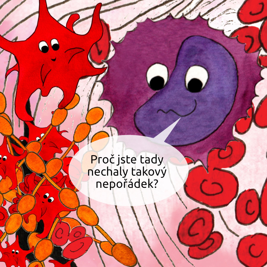 Neutrofil se ptá: Proč jste tady nechaly takový nepořádek?