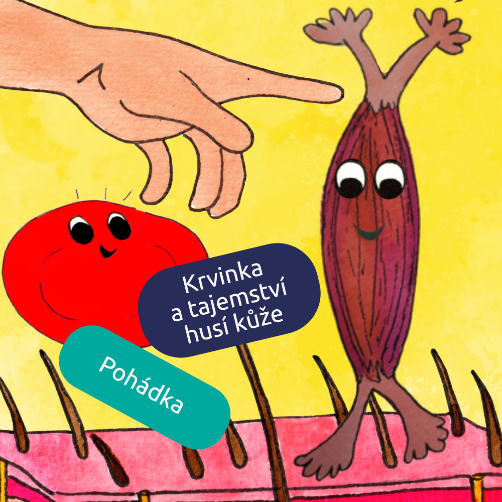 Krvinka a tajemství husí kůže