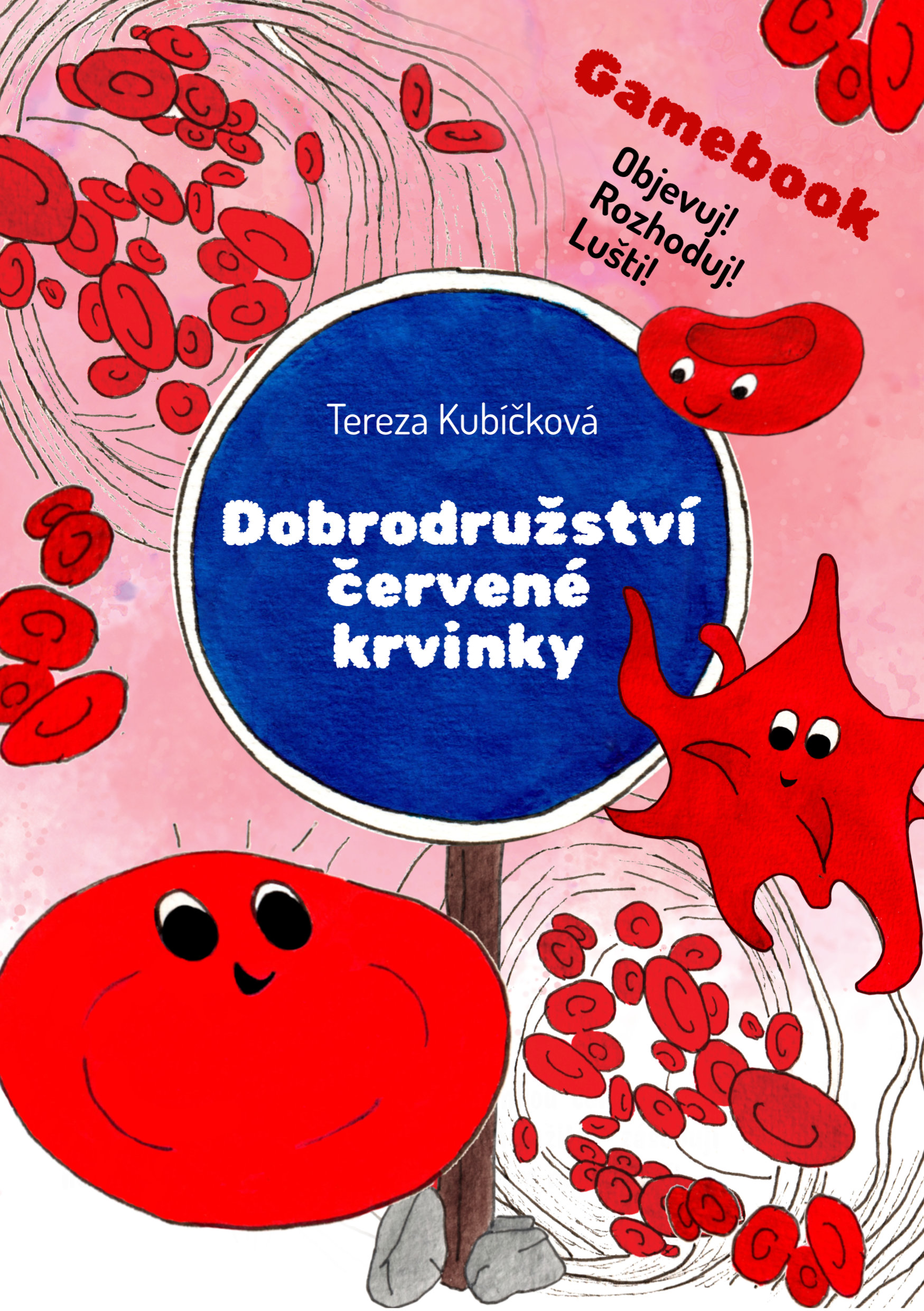 Náhled podkladu pro vedení školy