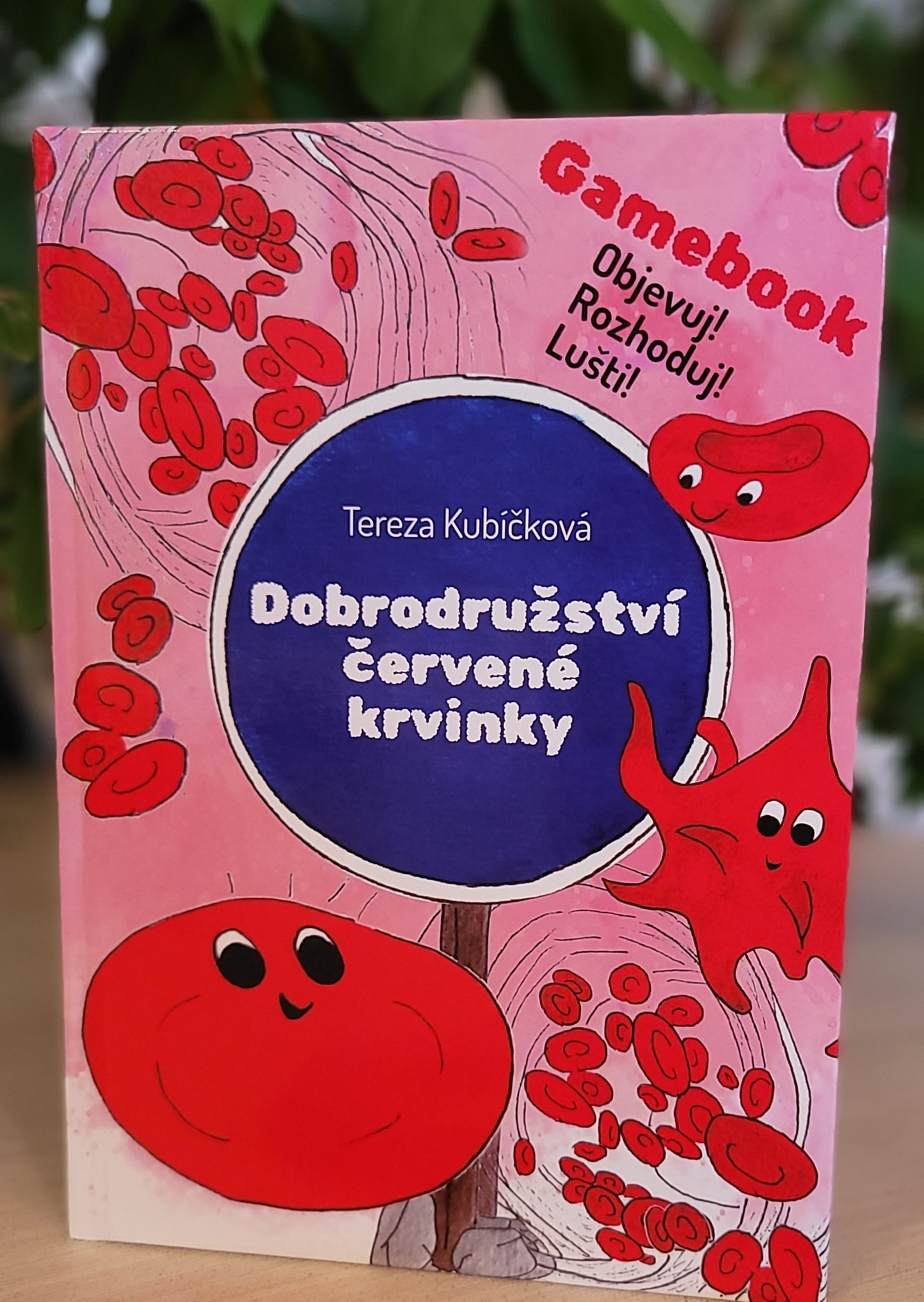 Dobrodružství červené krvinky – foto 2