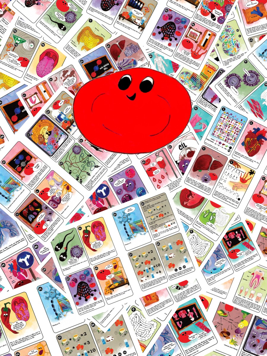 Dobrodružství červené krvinky – foto 4