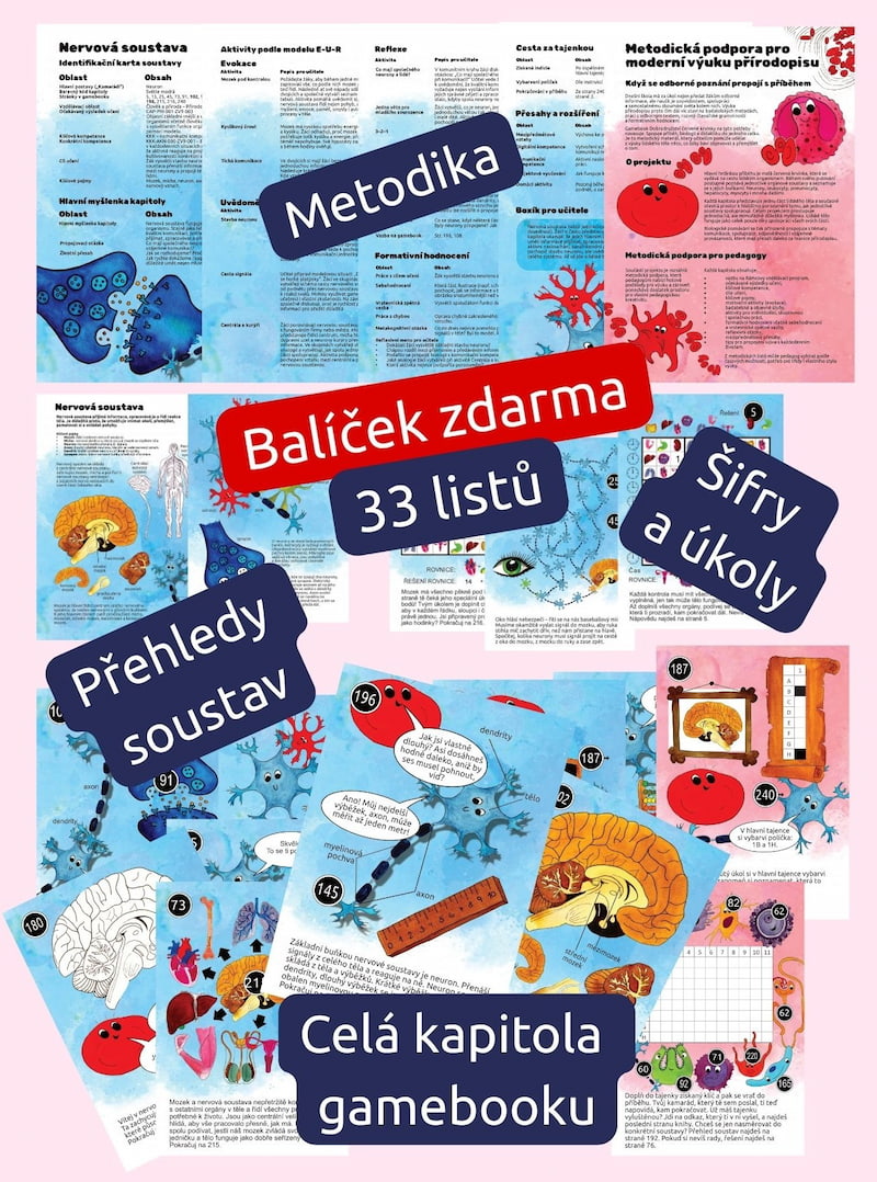 Nervová soustava zdarma - digitální lekce pro učitele