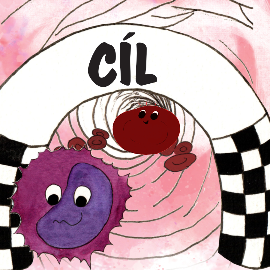 Bílá krvinka Leuka vítězí v cíli, červená krvinka Krvinka přijíždí druhá